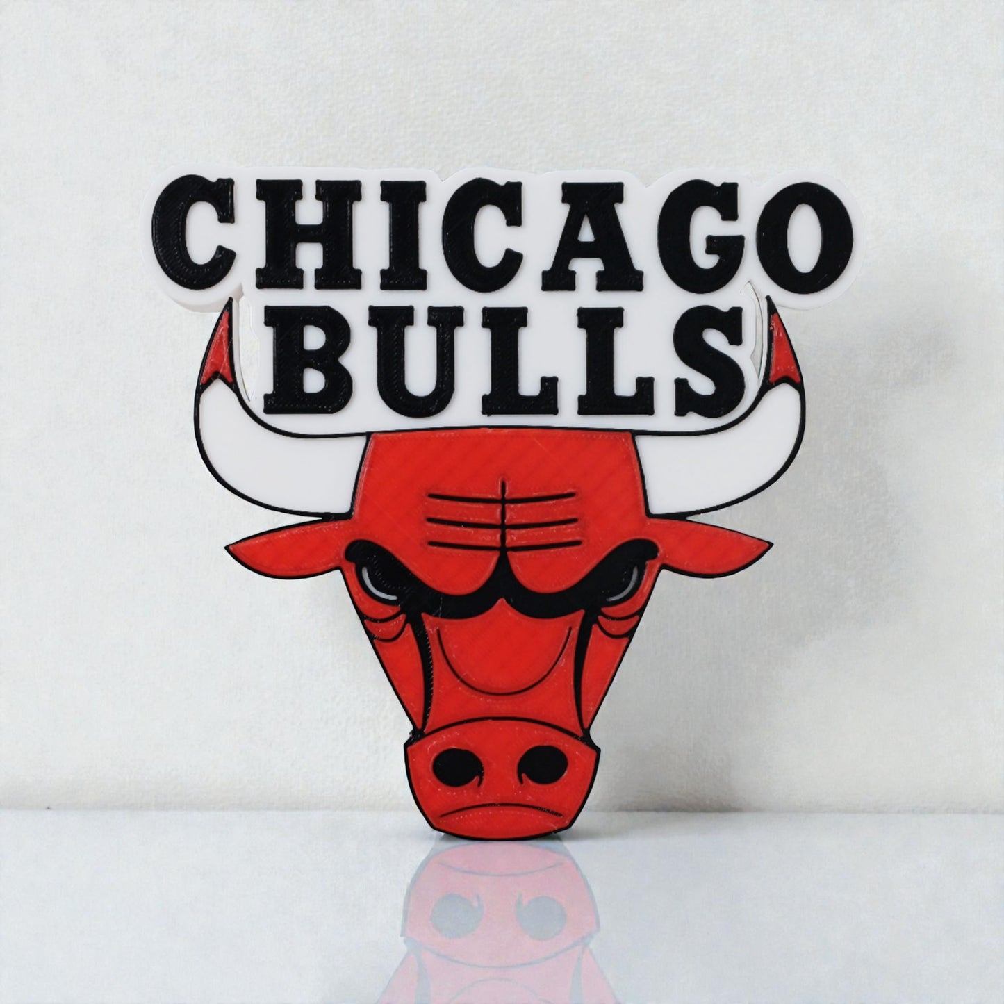 Chicago Bulls