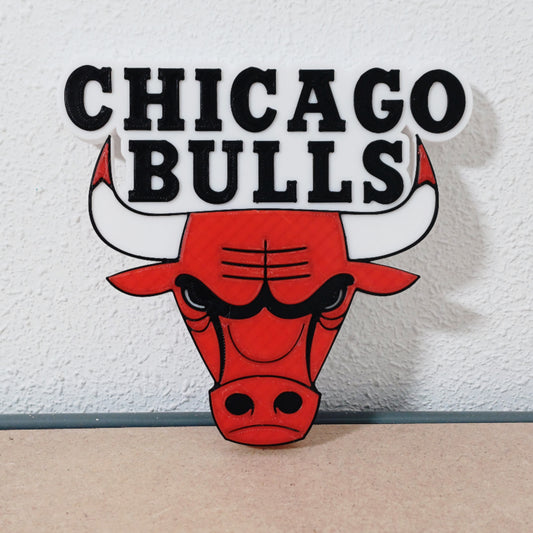 Chicago Bulls